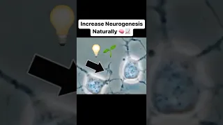 3 Evidence Based WAYS to FORM NEW BRAIN CELLS 🧠🌱