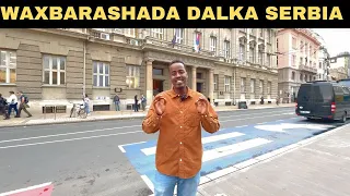 Waxbarashada Dalka Serbia - Qaybta 2aad