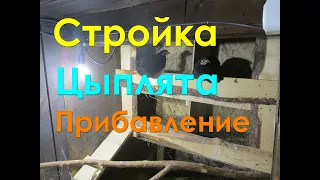 Деревенские будни | Стройка | Цыплята переехали | Прибавление у коз | Колхоз | Уборка хлама | Грязь