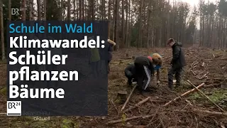 Wald statt Klassenzimmer: Schüler pflanzen Bäume gegen Klimawandel | BR24