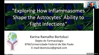 "How do inflammasomes shape astrocytes' ability to control infections" by Dr. Karina Bortoluci