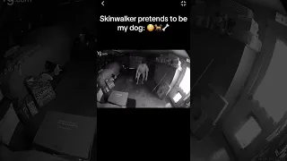 Skinwalker Pretends to be Dog