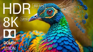 KINGDOM ANIMALS - 8K (60FPS) ULTRA HD - With Relaxing Music (Colorfully Dynamic)