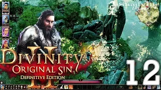 Divinity: Original Sin 2 - Definitive Edition Прохождение #12: Залескар