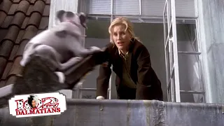 Oddball Puppy Trouble | (5/15) Movie Scenes | 102 Dalmatians (2000) HD