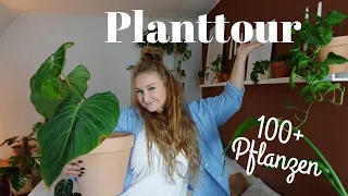 PLANTTOUR 🪴 | 100+ Pflanzen ✨  *RARITÄTEN*