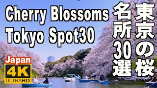 🇯🇵4K  東京の桜名所30選 Tokyo Cherry Blossom（sakura)  Japan Spots 30 名所 満開 花見 東京観光 旅行 案内 千鳥ヶ淵 新宿御苑 上野公園 日本の桜