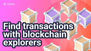 How to find transactions on a blockchain explorer (using transaction ID) | Exodus Tutorial