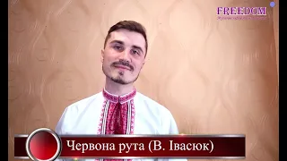 Михайло Така Червона рута (В. Івасюк)