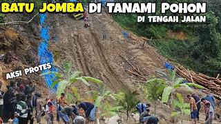 VIRAL ll BATU JOMBA HARI INI DI TANAMI POHON,Batu Jomba Terkini #BatuJomba #batujombahariini