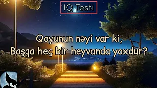 10 Maraqlı və Düşündürücü Məntiq Sualı - Neçəsini Tapa Bilərsən? | IQ Testi