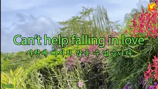 Can't help falling in love - 영어 / 한글 자막