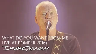 David Gilmour - What Do You Want from Me (Live At Pompeii)