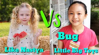 Like Nastya Vs Little Big Toys Comparison World Youtuber Rank, Net Worth, Age, Facts, Subscribers,