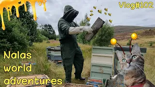 BEEKEEPER for a day 😻🐝 Vlog #102