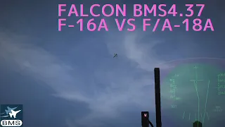 【FALCON BMS 4.37】F-16(BLOCK15) vs F/A-18A