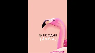 Вера Брежнева - Ты не один (Audio)