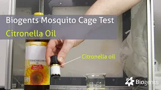 Does Citronella Oil Work as an Anti-Mosquito Repellent? Biogents Mosquito Cage Test