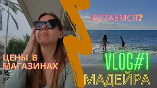 VLOG: ЦЕНЫ НА ПРОДУКТЫ на Мадейре. Гуляем по нашему району. Океан!