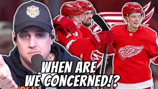Are the Red Wings Struggles Due to Goaltending or Defense?!