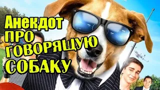 Анекдот про Ирак и Говорящую Собаку. Новейший анекдот)))