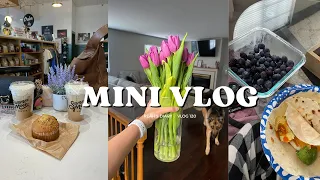 VLOG: coffee shop, doggy, run