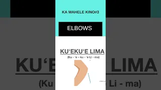 How to say KU`EKU`E LIMA (Elbows) in Hawaiian- Body Part3 #short