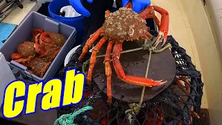 A Box Of Crab 2023 Hand Hauling Crab Pots