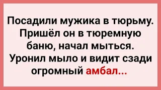 Мужик с Тазиком в Тюремной Бане! Сборник Свежих Смешных Жизненных Анекдотов для Настроения! Юмор!