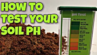 HOW TO TEST YOUR SOIL PH AT HOME