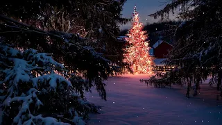 The Most Beautiful Video Congratulations On The New Year 2022🎄❄️🎅💥❄️