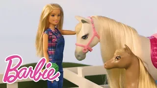 Жизнь на Ферме с Барби, Челси и Скиппер | @BarbieRussia 3+