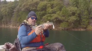 What Is The Ultimate Speed Trolling Spoon For Trout?