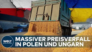 WEGEN MARKTVERZERRUNG: Ungarn und Polen verbieten Getreideimporte aus Ukraine