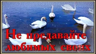 Не предавайте любимых своих. Автор слов и музыки Любовь Павлова(Казачка) исполняет Инна Чижова