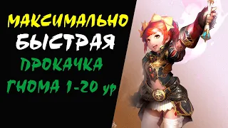 Максимально БЫСТРАЯ прокачка ГНОМА 1-20 уровня (DV) Lineage II