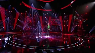 Romy - My Immortal / the voice kids 2020 sing off