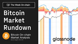 Bitcoin Market Rundown - The Week On-chain 8 2024