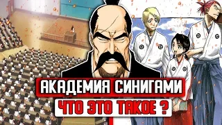 ЧТО ТАКОЕ АКАДЕМИЯ СИНИГАМИ ? | ЯМАМОТО ОСНОВАТЕЛЬ АКАДЕМИИ ДУХОВНЫХ ИСКУССТВ ? | БЛИЧ