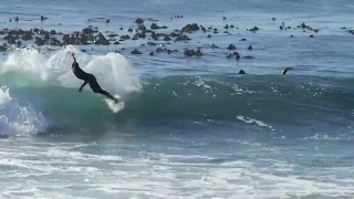 Fun summer surf at Kommetjie reef ( The Ledge / 06.12.2021 )