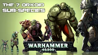 List of all Ork Species in Warhammer 40K Universe