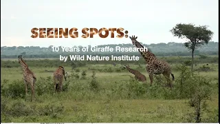 Wild Nature Institute: 10 Years of Giraffe Research
