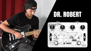 Aclam Dr Robert | Your secret weapon for Beatles tones 🎸