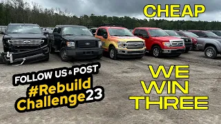 We Buy How Many cars at one time ?? - Copart Rebuild Challenge LIVE