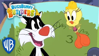 Bugs Bunny Builders 🇫🇷 | Un coup de peinture avec Titi et Sylvestre 🖌| WB Kids