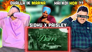 REACTION ON : Drippy (Official Video) | Sidhu Moose Wala | Mxrci | AR Paisley | React Hub