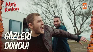 Barbaros ve Ali, Gülayşe için kavga etti! - Ateş Kuşları 5. Bölüm