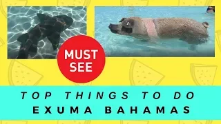 Exuma : Top things to see and do in Exuma Bahamas