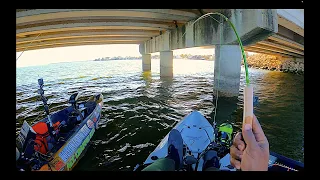 Big Crappie & Whipers | Fishing Bridge Pylons on Lake Conroe