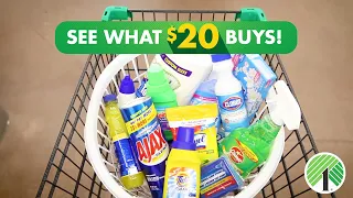 See WHAT $20 BUYS at Dollar Tree | Cleaning Supplies